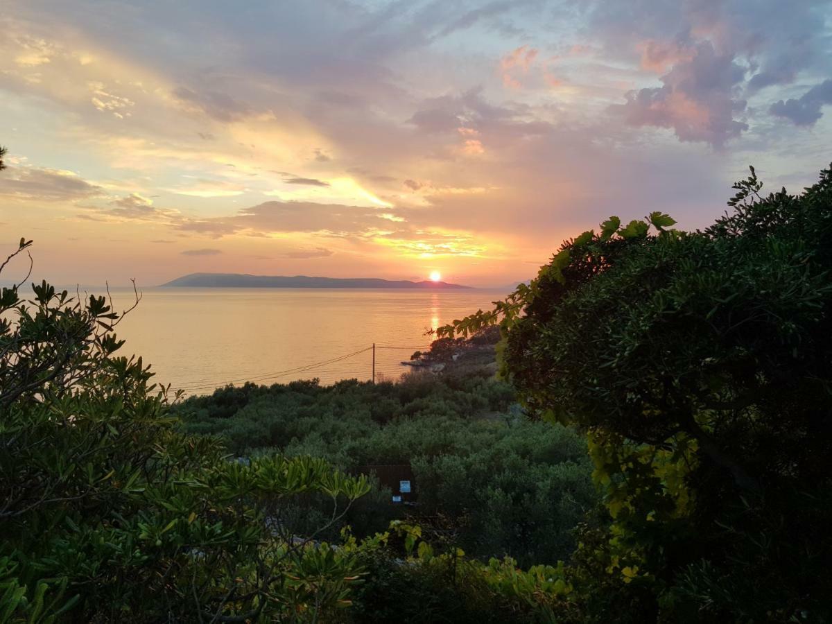 Apartmani Baresic Podgora Luaran gambar